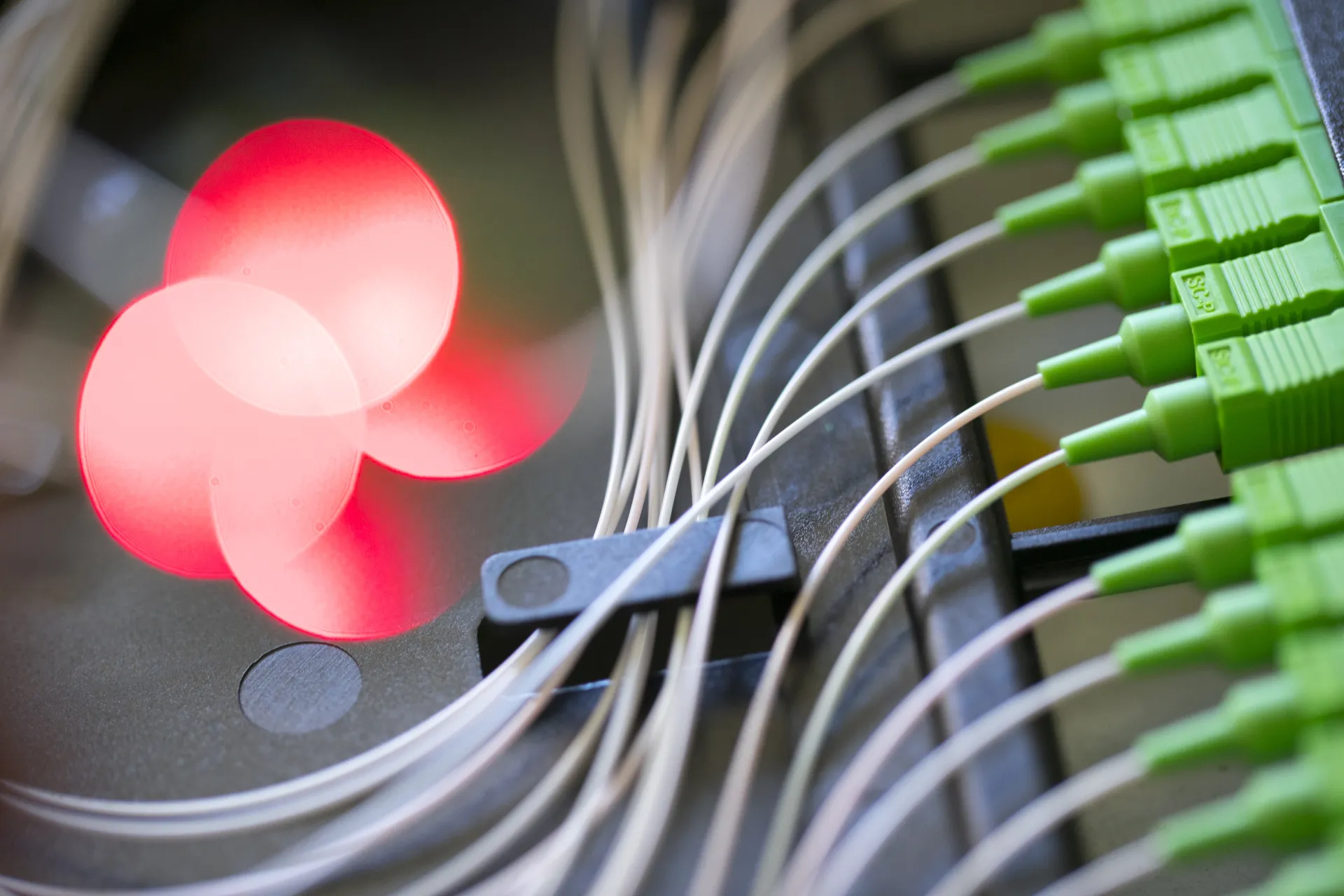 Fibre optique