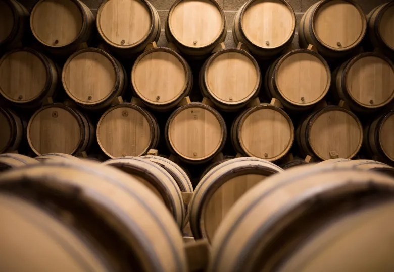 Photo - Futs dans une cave à vin